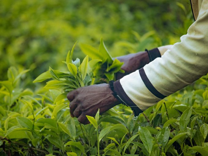 Campo di lavoro in Kenya per lo sviluppo comunitario