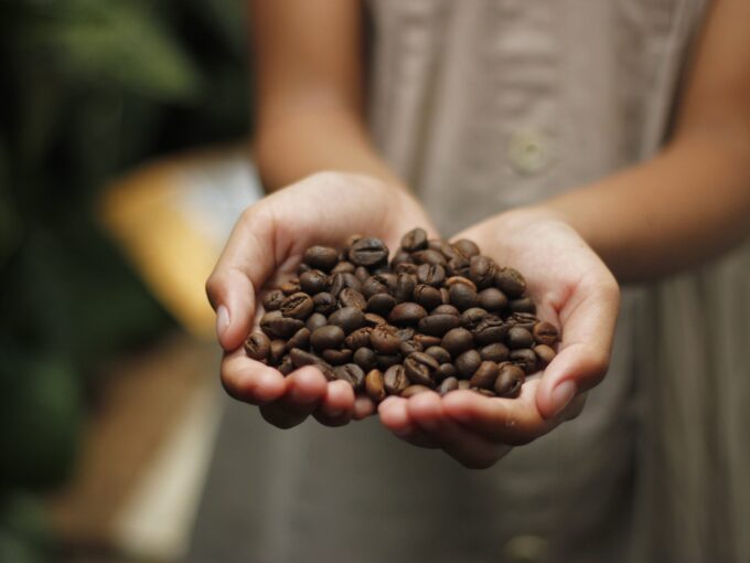 Volontariato internazionale Filippine coltivazione caffè