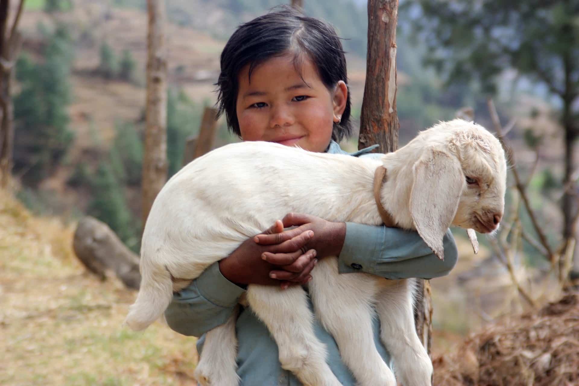 Volontariato internazionale in Nepal in una Agrofarm