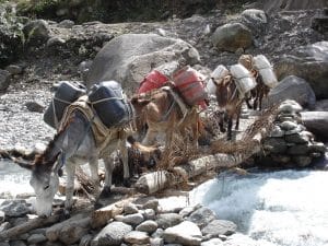 volontariato in nepal