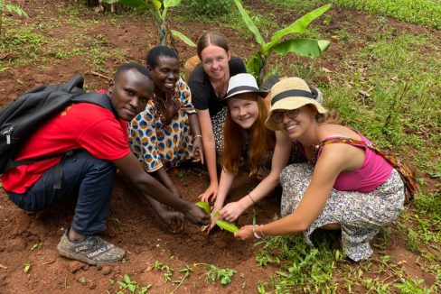Volontariato in Uganda agricoltura sostenibile