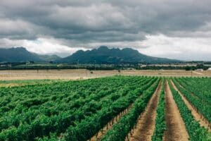 Campo di lavoro in Kenya sviluppo sostenibile