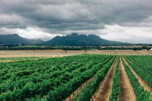 Campo di lavoro in Kenya sviluppo sostenibile
