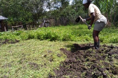 Campo di lavoro in Kenya in un allevamento di farfalle