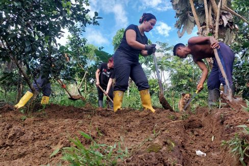 Volontariato internazionale in Thailandia in un'azienda agricola biologica