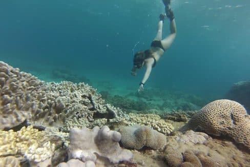 Volontariato internazionale in Mozambico immersioni