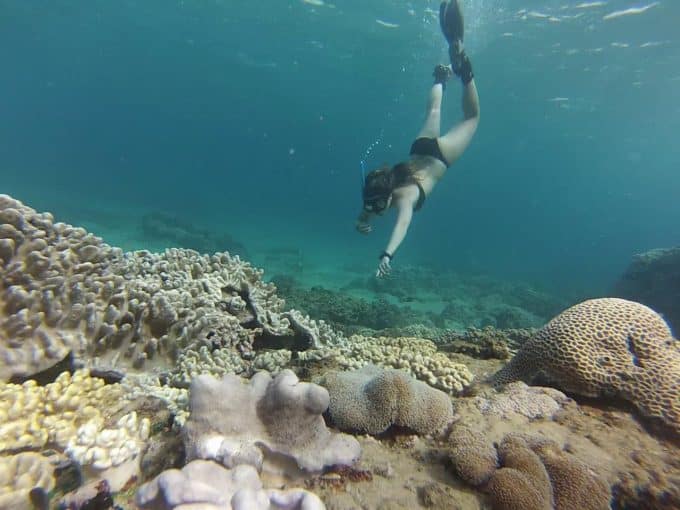 Volontariato internazionale in Mozambico immersioni