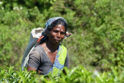 Volontariato Internazionale in Sri Lanka empowerment femminile