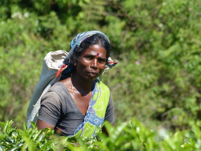 Volontariato Internazionale in Sri Lanka empowerment femminile