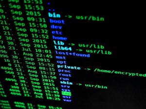 Volontariato internazionale in Togo nell'ambito della sicurezza informatica