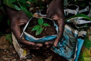 Campo lavoro Kenya conservazione ambientale