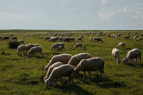 Campo lavoro Germania riserva naturale Amburgo