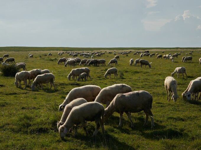 Campo lavoro Germania riserva naturale Amburgo