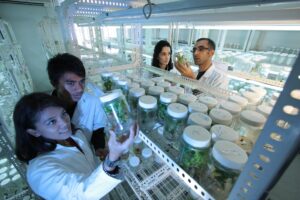 Volontariato internazionale Filippine campus universitario innovazione agricola