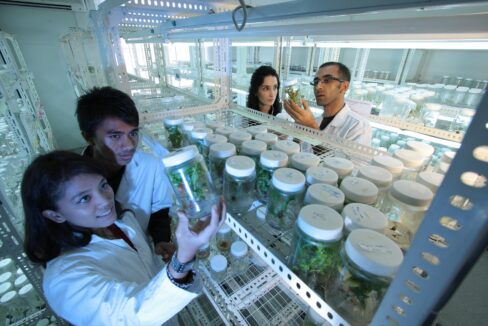 Volontariato internazionale Filippine campus universitario innovazione agricola