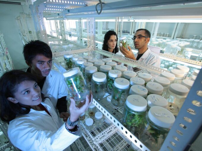Volontariato internazionale Filippine campus universitario innovazione agricola