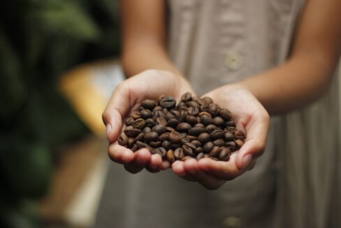 Volontariato internazionale Filippine coltivazione caffè