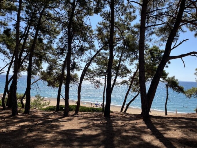 volontariato internazionale cefalonia